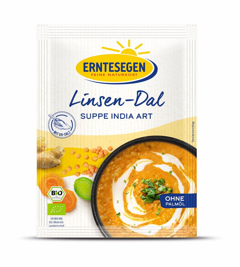 Linsen-Dal Suppe India Art