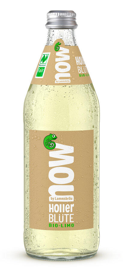 Limo Holler Blüte