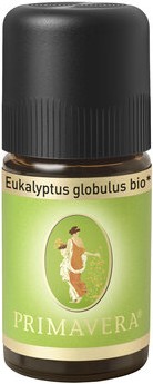Eukalyptus globulus